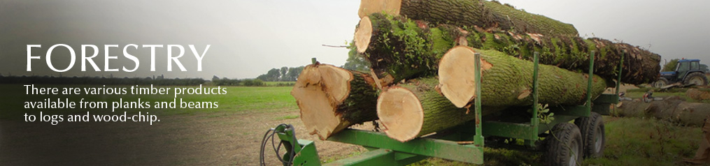 Forestry
