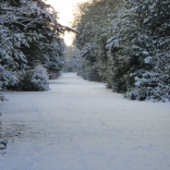 pavilion in snow 1