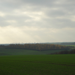 claphams 3