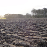ploughed field 2