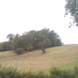 semi-natural grassland