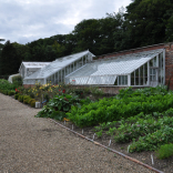 Kitchen garden 11