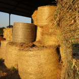dusk bales 3