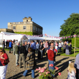 golden jubilee 1
