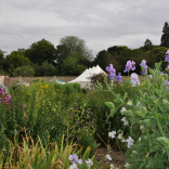 Kitchen garden 10