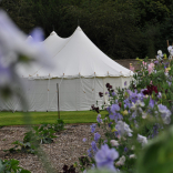 Kitchen garden 13