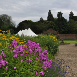 Kitchen garden 9