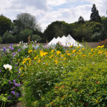Kitchen garden 1