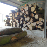 processed timber 2