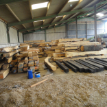 processed timber 3
