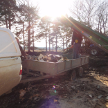 logging machine 3