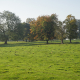 dalton park 1