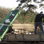 logging machine 1