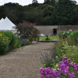 Kitchen garden 3