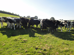 Agriculture
