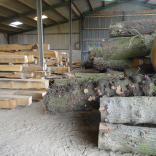 processed timber 1