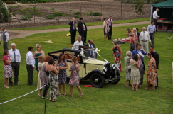 Weddings